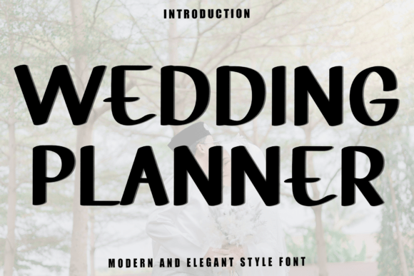 Wedding Planer Font: A Festive Display Typeface for Web Design